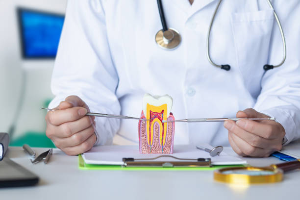 Best Mobile Emergency Dentist in Drain, OR
